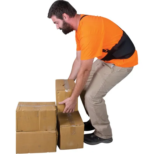 Back Supports