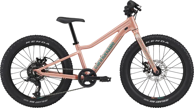 Cannondale Trail Mountain Bike - Kids