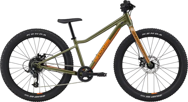 Cannondale Trail Mountain Bike - Kids