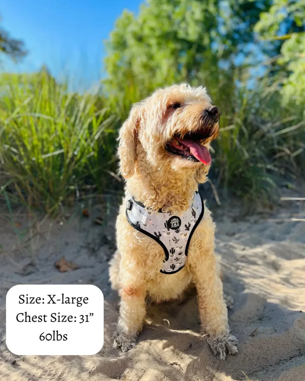 Doggie Republic Sport Harness - No Probllama