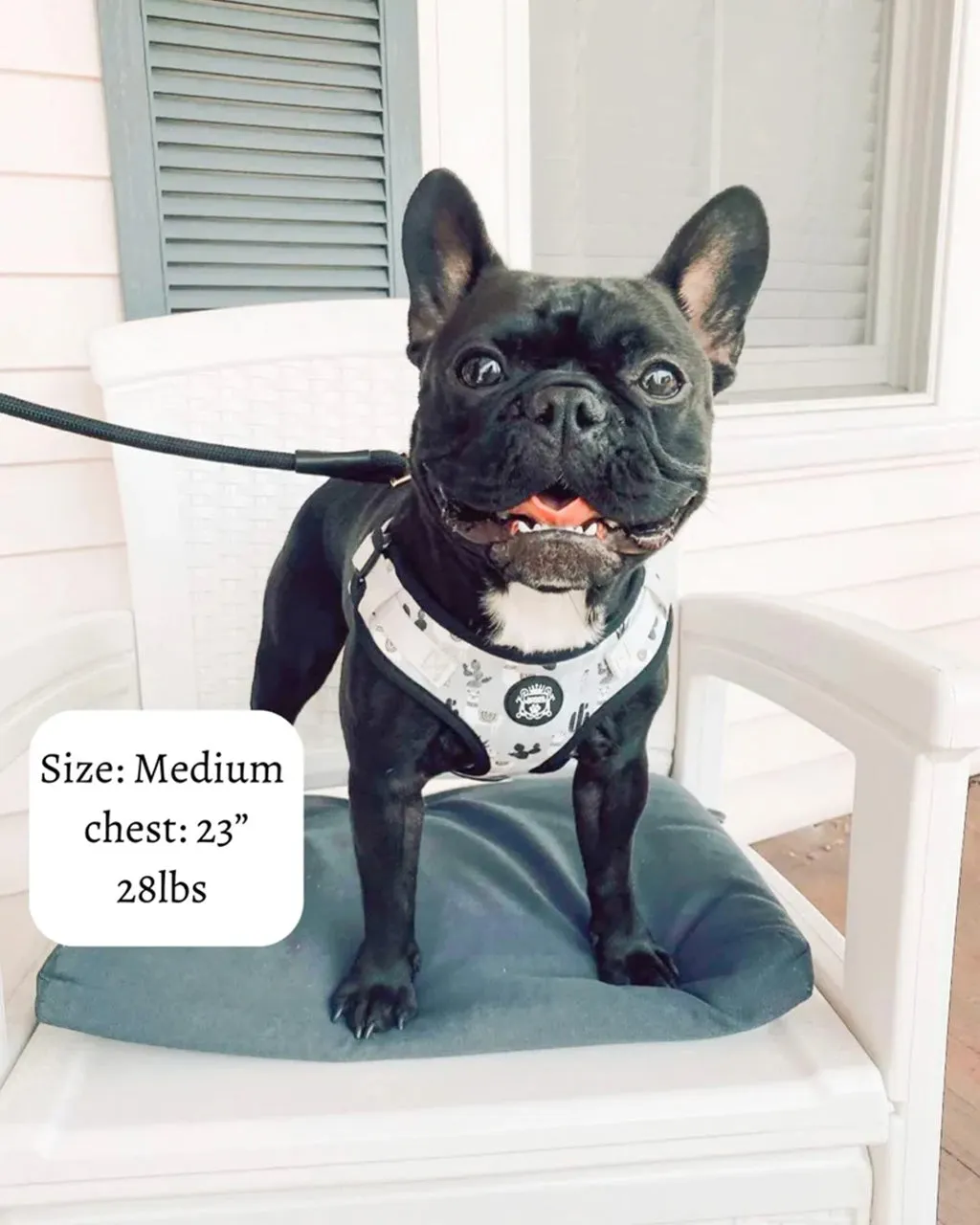Doggie Republic Sport Harness - No Probllama