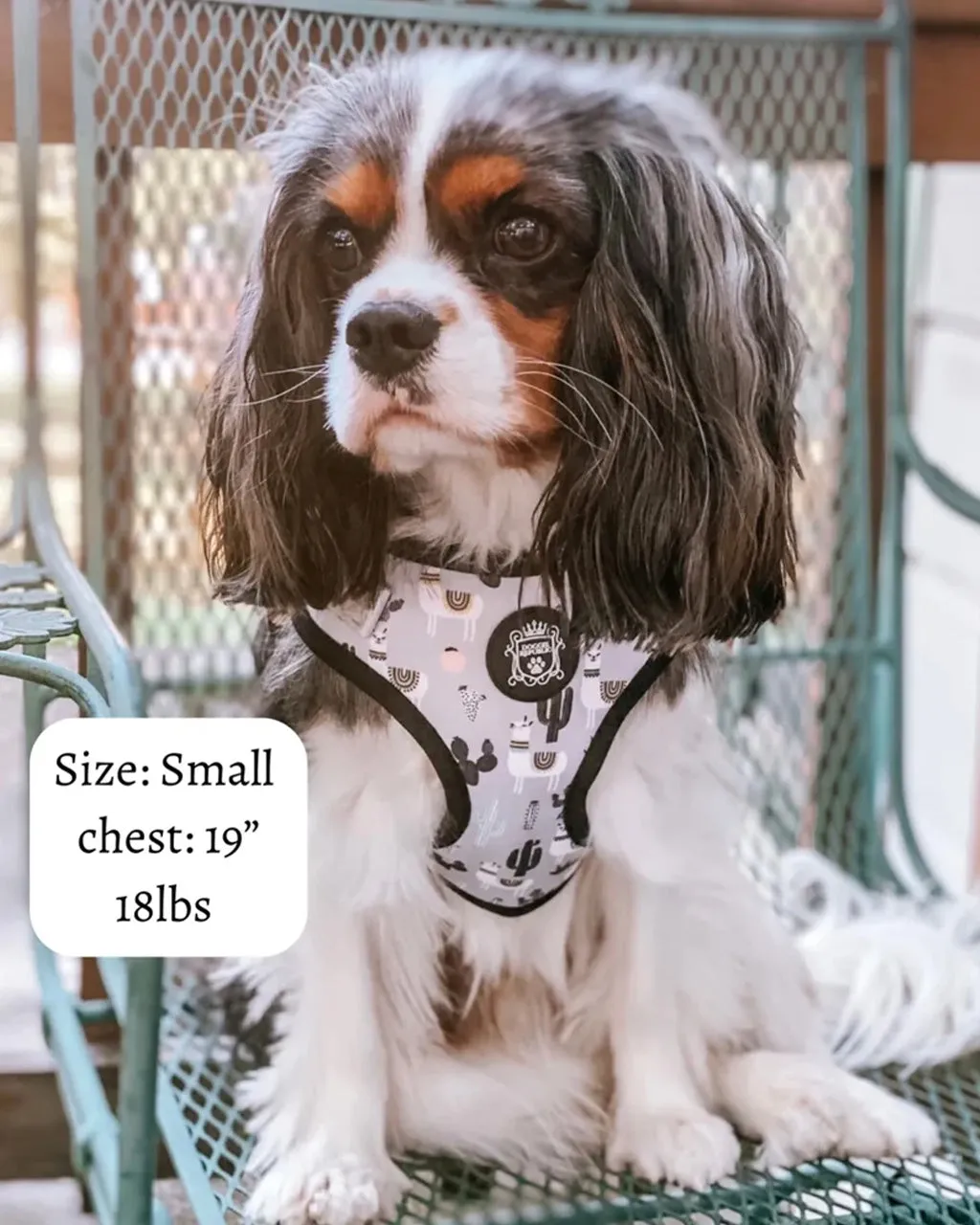 Doggie Republic Sport Harness - No Probllama
